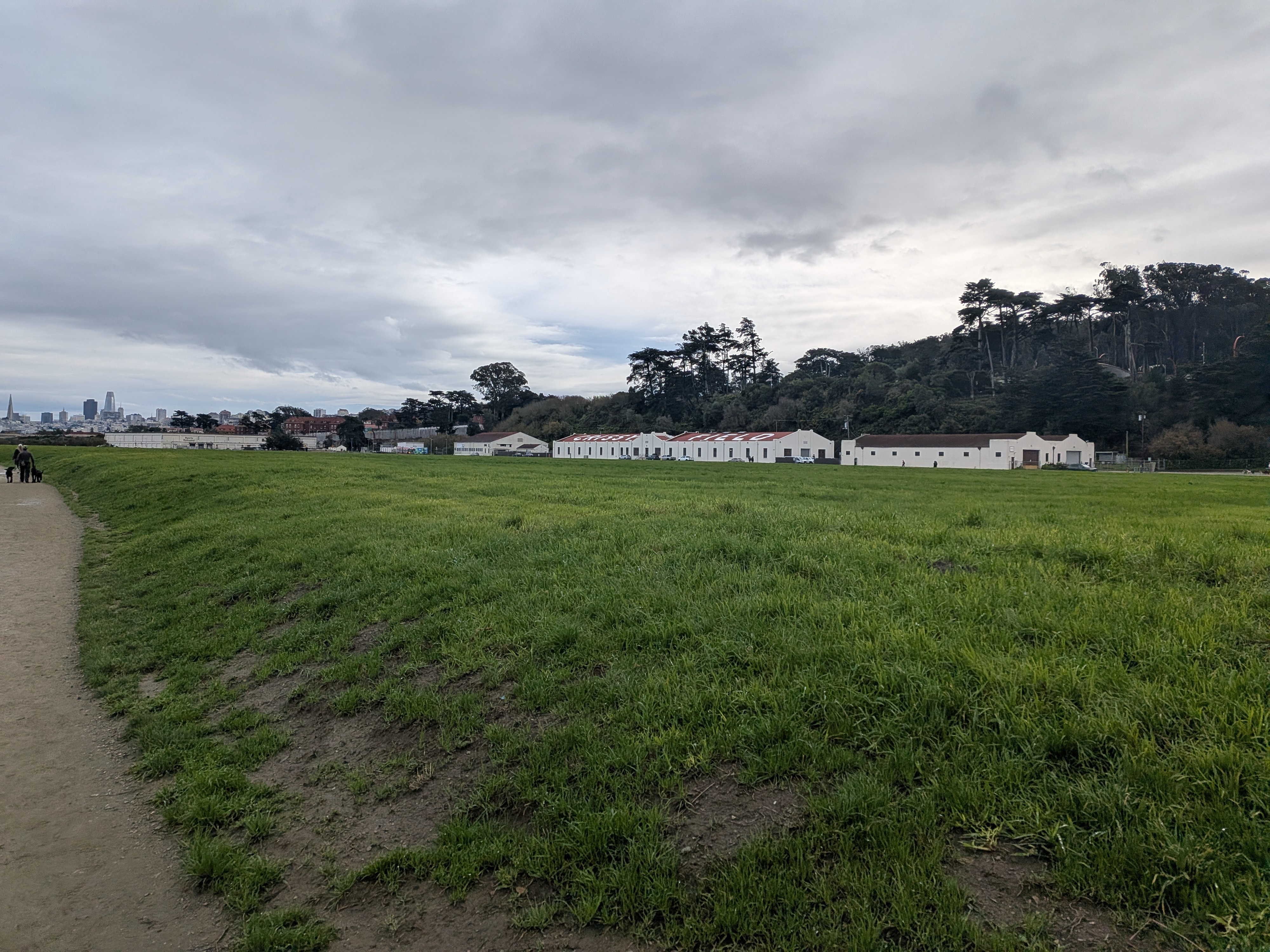 クリッシーフィールド