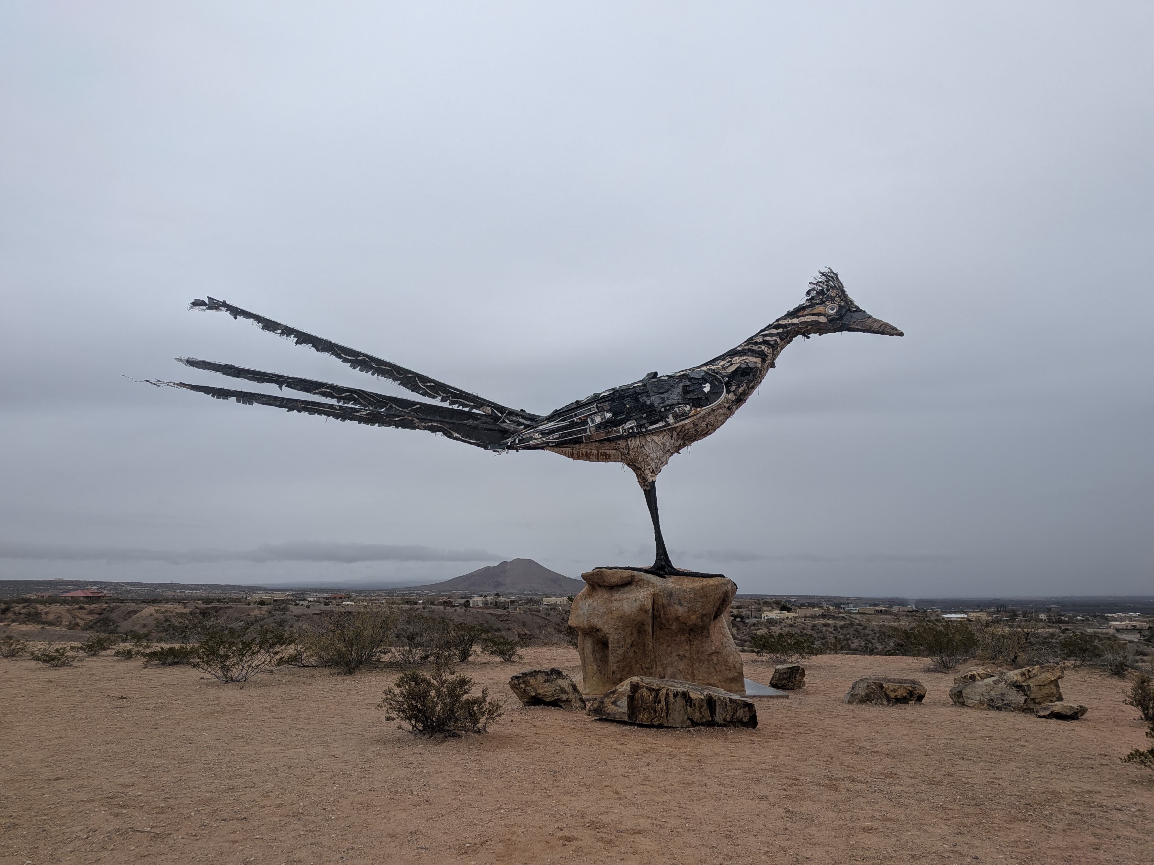 ニューメキシコ2