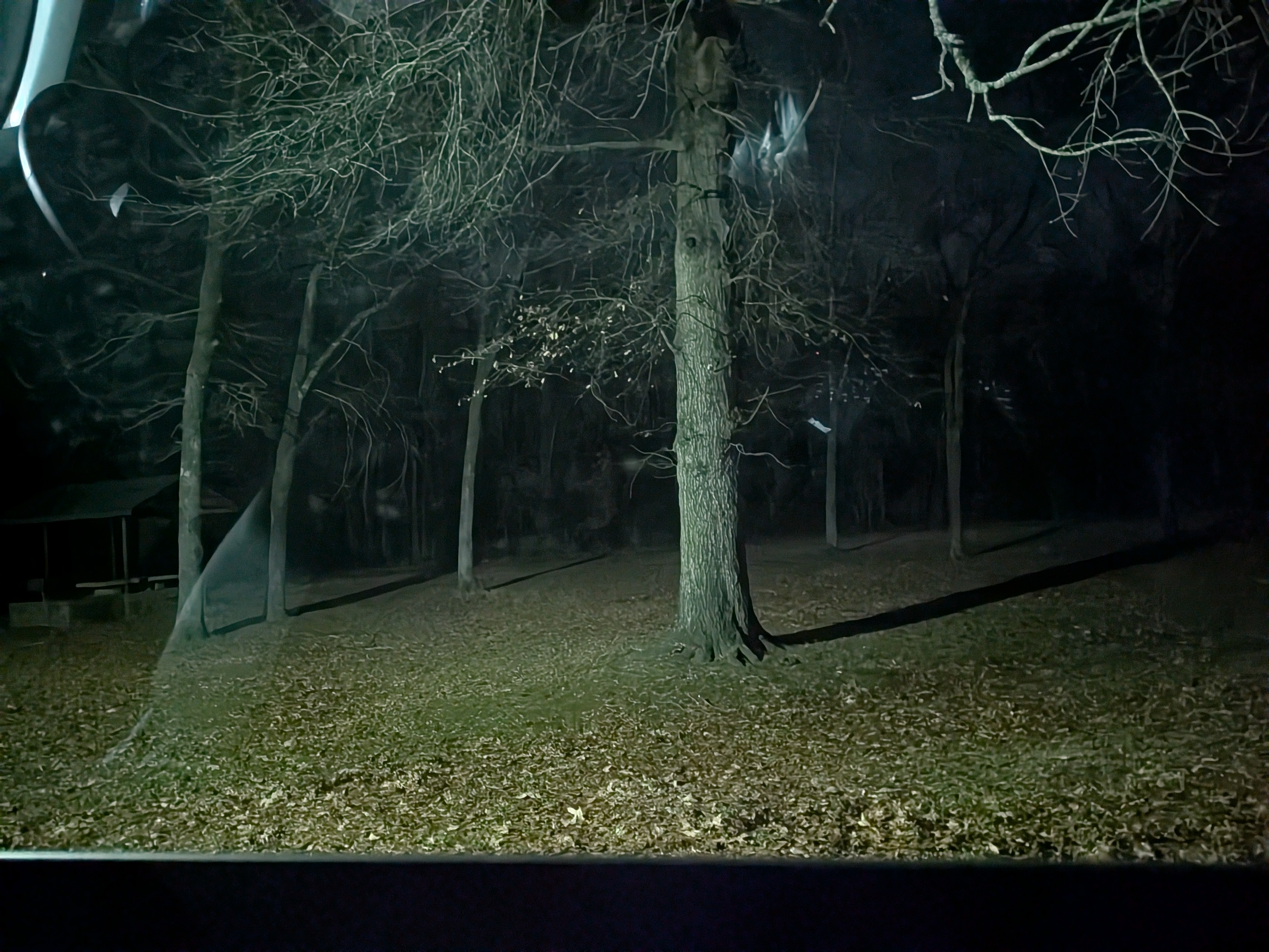 到着したレストエリア2