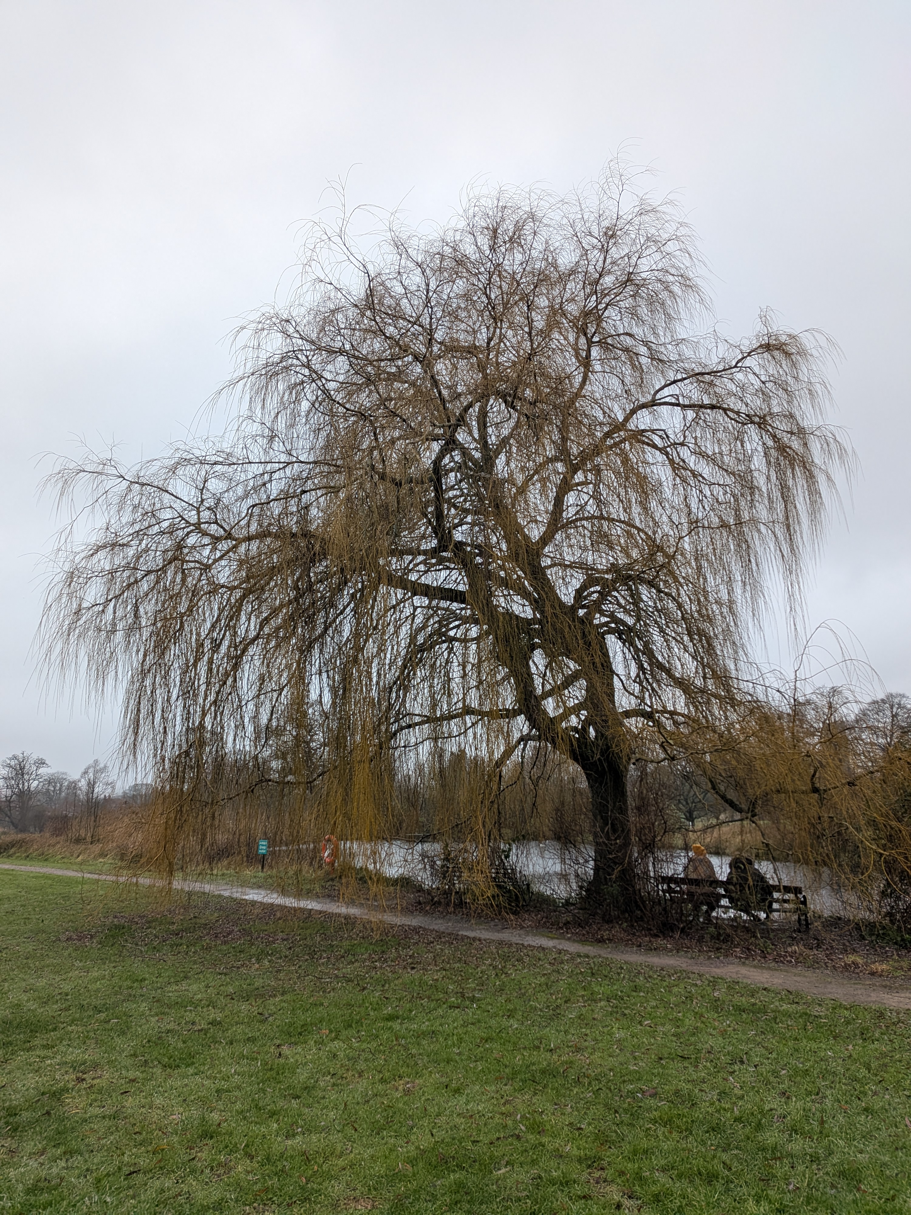 グラストンベリー